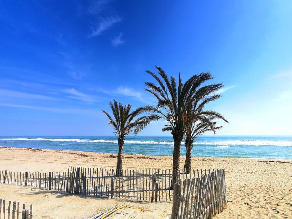 Appartement Soleil Levant - Acces Direct Plage - Terrasse - Une Chambre - Proche Commerces Le Barcares Exterior photo